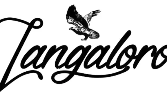 Zangaloro.it