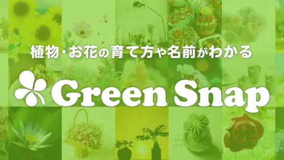 GreenSnap - 植物・花の名前が判る写真共有アプリ