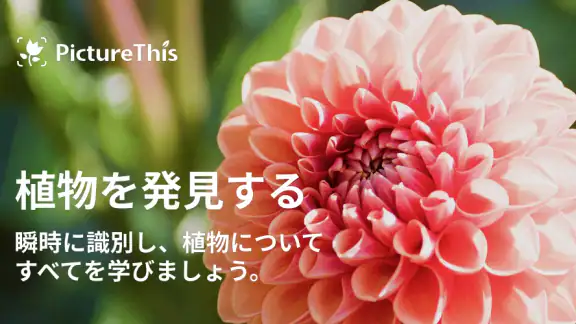 PictureThis：撮ったら、判る-1秒植物図鑑