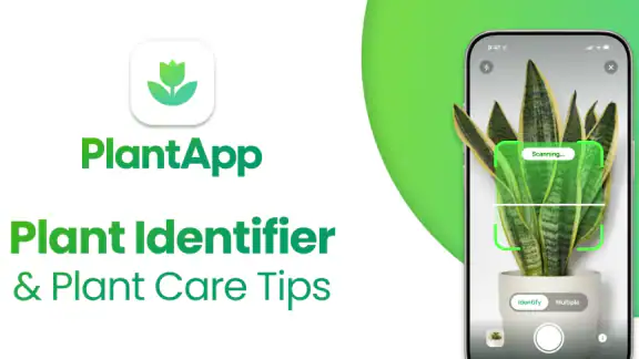 Plant App - 植物識別子