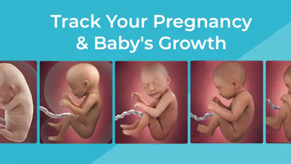 Pregnancy App & Baby Tracker
