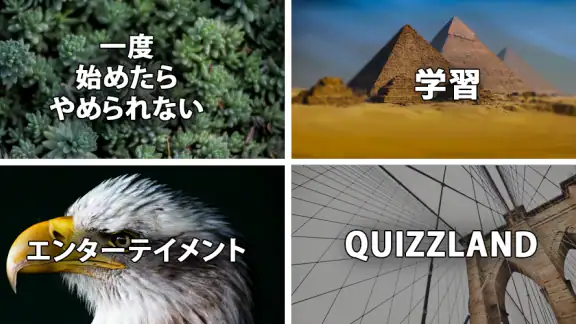QuizzLand：雑学クイズでトリビアに挑戦しよう
