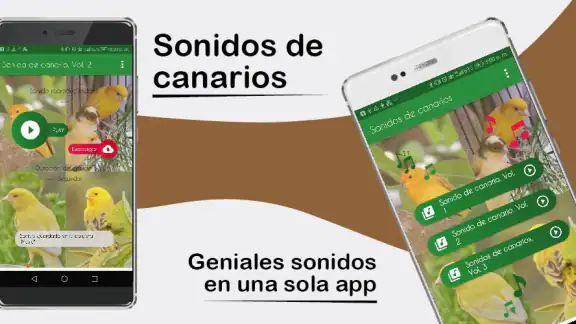 Sonidos de Canarios. Cantos.