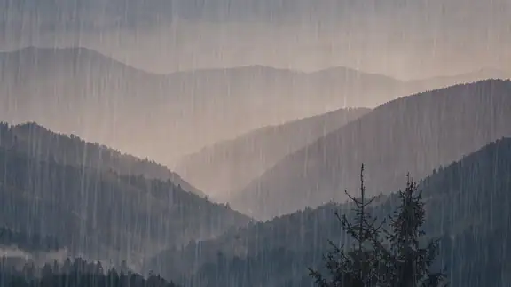 The Weather Channel