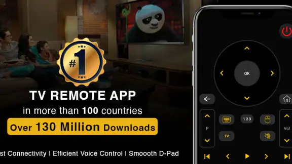 Universal TV Remote Control