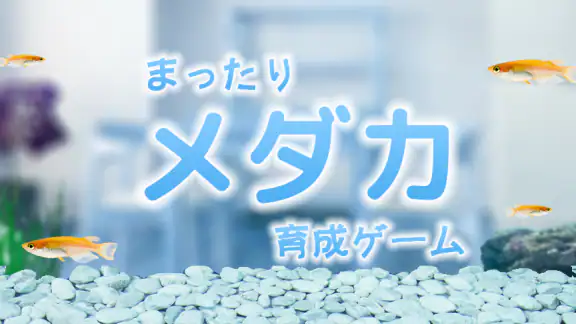 まったりメダカ育成ゲーム