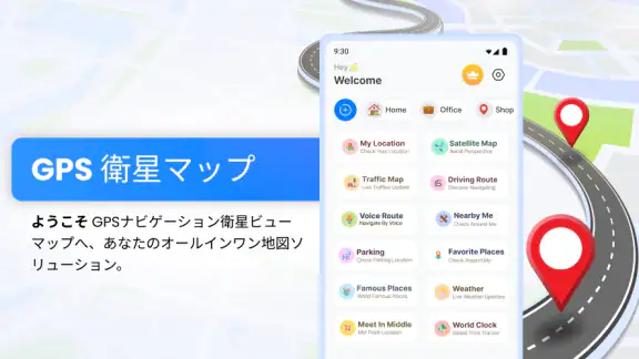 ライブ衛星ビュー: 道路地図
