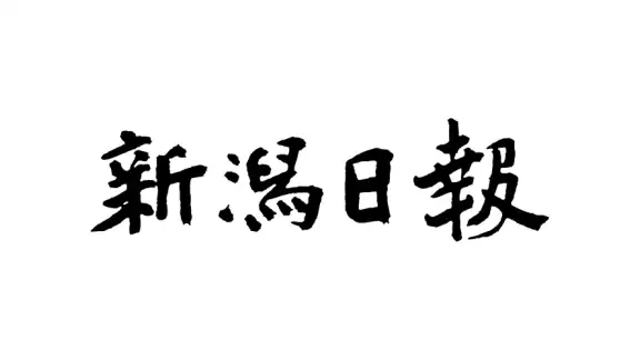 新潟日報 紙面ビューアー