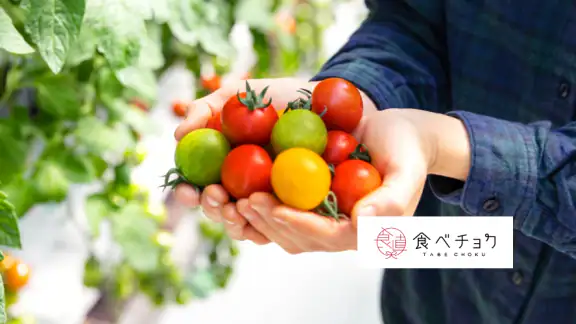 食べチョク - 農家・漁師の産直ネット通販