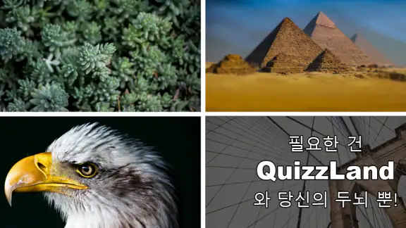 QuizzLand: 짜릿한 모바일 상식퀴즈 게임