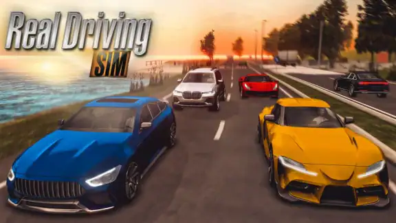 Real Driving Simulator