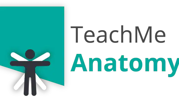 Teach Me Anatomy