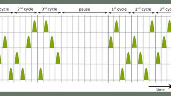 Tonal Tinnitus Therapy