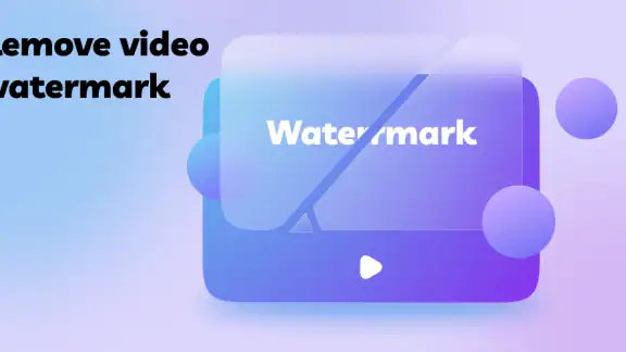 Video Object Watermark Remover