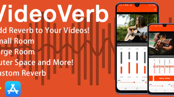 VideoVerb: Add Reverb to Video