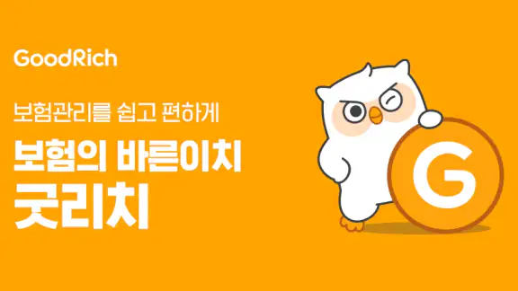 굿리치 – 보험의 바른이치
