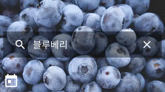 농산물 경매 가격 정보 - 실시간, 일자별