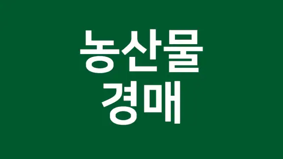 농산물 실시간 경매 - 최신 농산물 경매 거래내역 확인