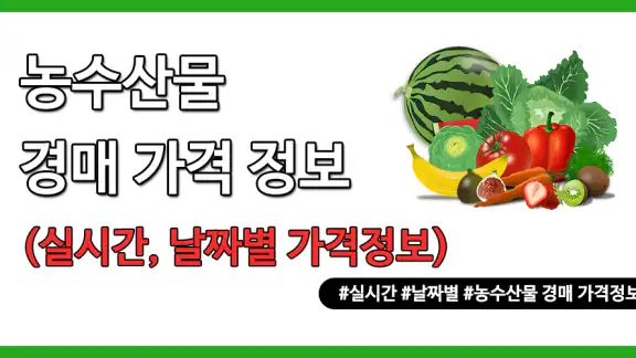 농수산물 실시간 경매 가격 정보 - 도매시장