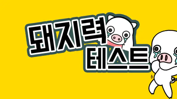 돼지력 테스트