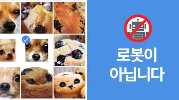 로봇이 아닙니다: 신박한 퀴즈