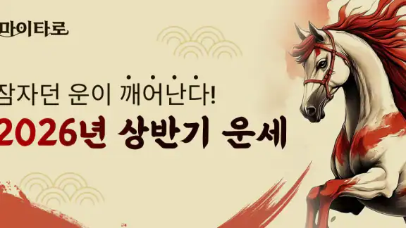 마이타로-2025 신년운세, 사주, 궁합, 연애운 타로