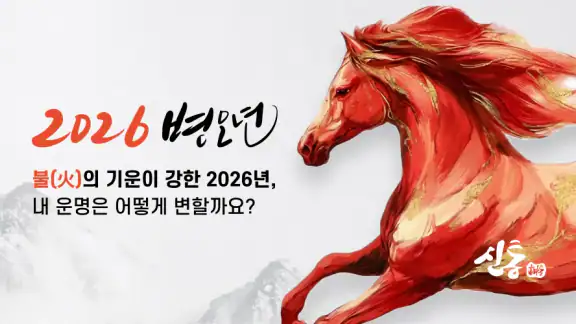 신년운세상담 신통-MZ연애 재회 이직 재물운 전화상담