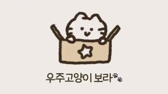 우주고양이 보라 - 사주, 운세, 사주풀이, 타로