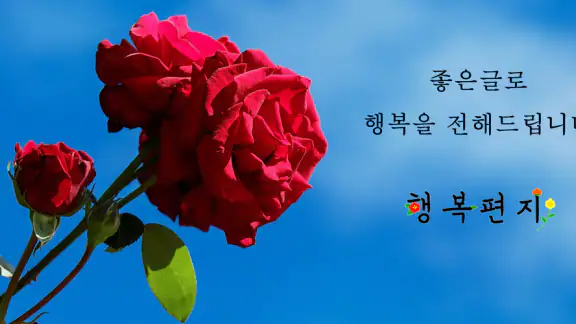 행복편지-좋은글 모음, 명언 모음, 좋은 글귀