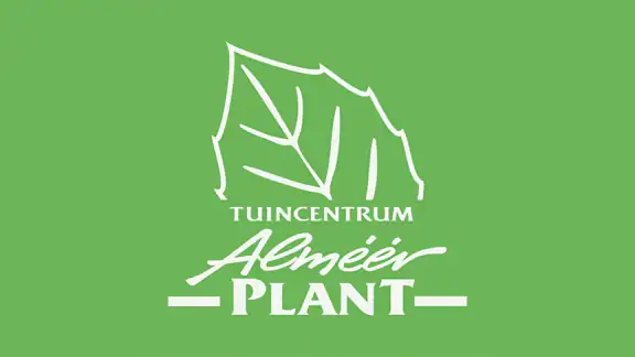 Almeerplant