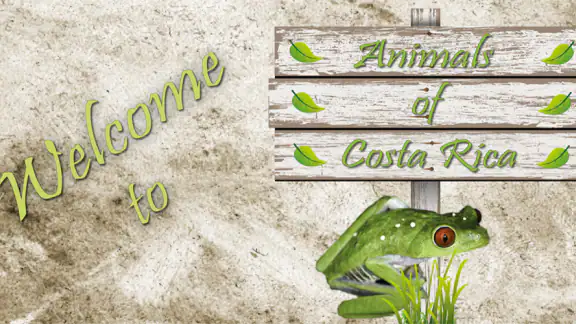 Animals of Costa Rica