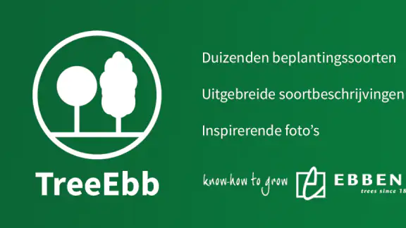 Ebben TreeEbb