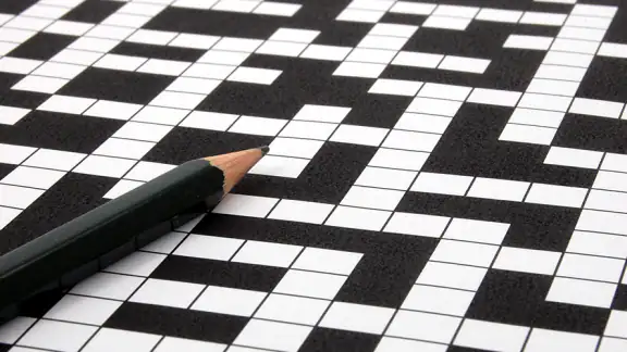 Kruiswoord Puzzelwoordenboek