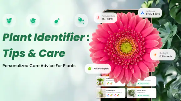 Planten Herkennen: AI Scanner