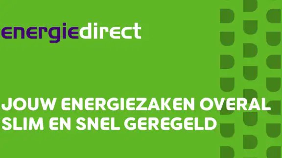 Regelneef