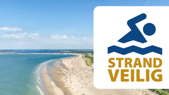 Strand App