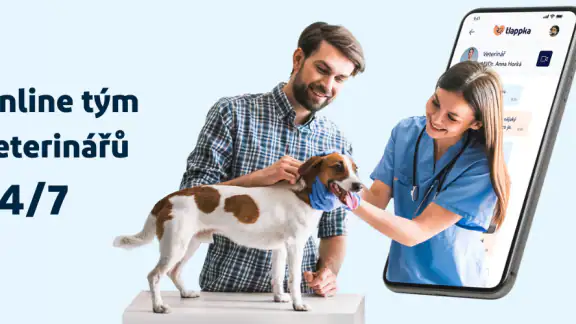 tlappka - veterináři online