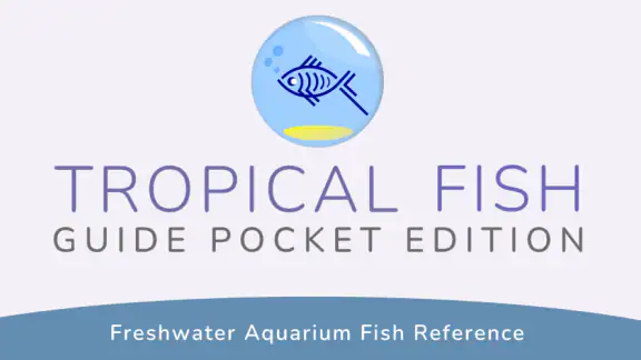 Tropical Fish Guide Pocket Ed.