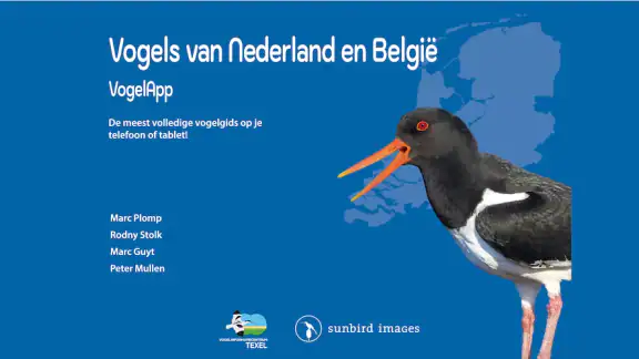 Vogels van Nederland en België