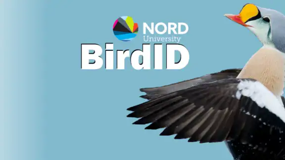 BirdID