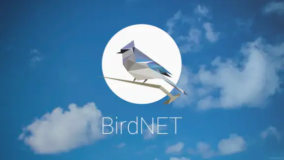 BirdNET