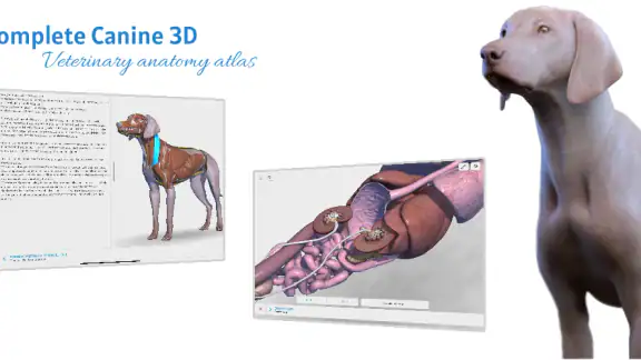 Complete Canine 3D - anatomy