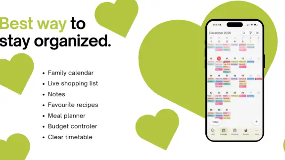 Domownik - home organizer