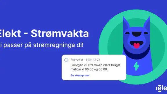 Elekt - Strømvakta