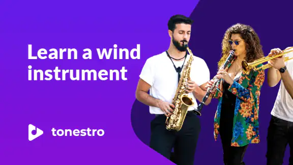 Euphonium Lessons - tonestro