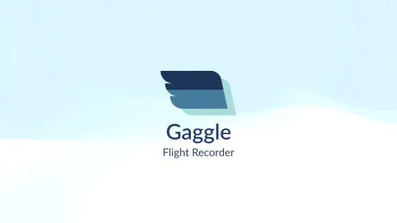 Gaggle Paragliding, Ultralight
