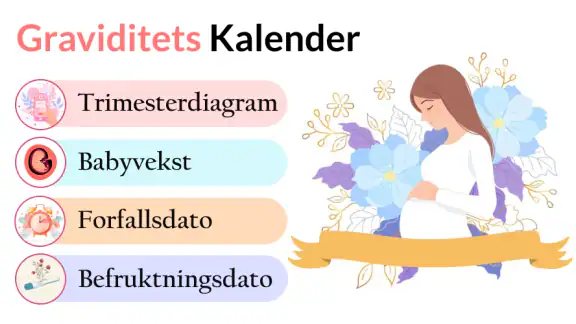 gravid app & gravidkalender