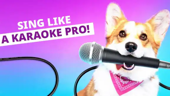 Karaoke - Syng sanger