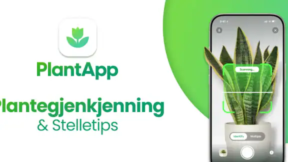 PlantApp - Planteidentifikator