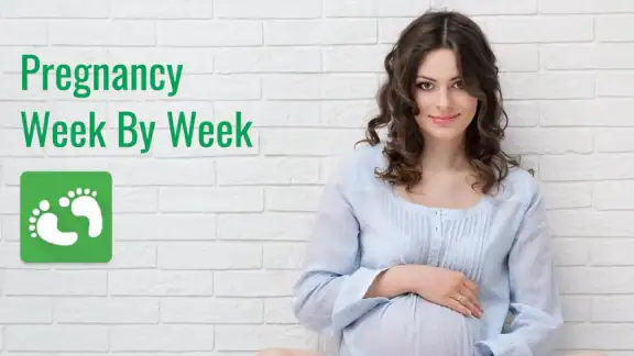 Pregnancy App